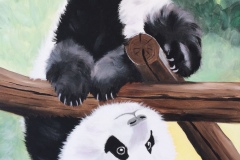 Petit-panda